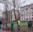 В Петербурге и Ленобласти вовсю убирают листья перед снегом - 47 новостей