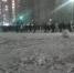 Ленобласть и Петербург дождались первого снегопада - 47 новостей