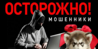 В Петербурге задержали дропа, который забрал у девочки-подростка наручных часов на миллион рублей - 47 новостей