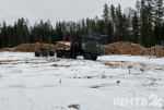 Более 650 участков для многодетных семей готовят во Всеволожском районе