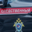 СК организовал проверку после конфликта между детьми во Всеволожске - 47 новостей