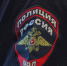 В Ленобласти задержали диверсанта за поджог вышки сотовой связи - 47 новостей