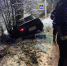 Водитель и пассажир пострадали при столкновении авто с деревом в Красном Бору - Online47.Ru