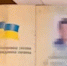Диверсант-наркоман задержан в Кировском районе ЛО - ЛенОблИнформ