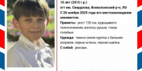 В поселке имени Свердлова ищут 10-летнего мальчика - 47 новостей