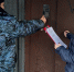 Судебные приставы убедили отца из Кингисеппа вселить дочь в квартиру - УФССП ЛО