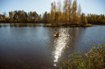Фантазия облагородила пространства