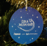 Новогоднюю «Елку желаний» зажгли в Разметелево - Единая Россия