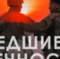Навсегда в строю: житель Нового Девяткино Артем Гуртовенко - ЛенОблИнформ