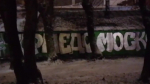 В Петербурге задержали фаната спорта и граффити