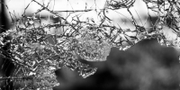 Водитель иномарки сбил двух человек на пешеходном переходе в Красносельском районе Петербурга - Online47.Ru