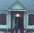 Новый год по QR-коду. Правда о бесплатной елке в Ленобласти - 47 новостей