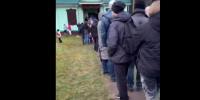 В ближайшем к Петербургу лесхозе - очередь за бесплатными ёлками - видео - 47 новостей