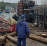 Полуприцеп с бревнами опрокинулся на легковой автомобиль по дороге на Петрозаводск - 47Channel.Ru