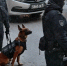 Жительница Петербурга заявила в полицию после жестокого конфликта с сожителем - Online47.Ru