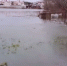 Фото и видео: Большая вода пришла на участки в поселке Красная Заря - 47 новостей