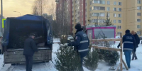 Ревизор приходит дважды. В Петербурге у продавцов-нелегалов забрали 250 елок - 47 новостей