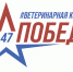 Итоги работы государственной ветеринарной службы в рамках Года Команды Победы - Управление ветеринарии