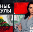Новогодний отрыв без последствий: как провести каникулы с пользой - ЛенТВ24