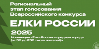 В Ленобласти выберут самую красивую новогоднюю елку - ЛенТВ24