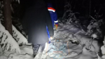 Спасатели Ленобласти нашли и вывели из леса заблудившегося в Отрадном мужчину