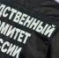 СК возбудил дело после обнаружения двух тел при пожаре в Волосовском районе - 47Channel.Ru
