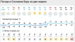 сосня.jpg