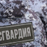 В Тихвине Росгвардия задержала мужчину, стрелявшего из «травмата» в посетителя бара - 47Channel.Ru