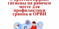 Как не подхватить грипп и ОРВИ на работе: пять простых правил - 47 новостей