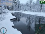 Экомилиция проверила информацию о разливе нефтепродуктов во Всеволожском районе.