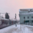 "Поезд Победы" после Выборга посетит еще 4 города Ленобласти - 47Channel.Ru