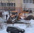 В Колтушах залатали водопровод и ждут наполнения бассейна - 47 новостей