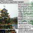 Кронштадтская елка стала одной из лучших в России. На самом деле - она из Ленобласти - 47 новостей