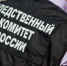 В Выборгском районе Ленинградской области  женщина подозревается в пособничестве в террористической деятельности - Следственный комитет