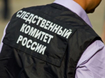 В Выборгском районе Ленинградской области  женщина подозревается в пособничестве в террористической деятельности