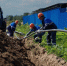 Программа газификации Ленобласти продолжается. В новому году ждем 9 газопроводов - 47 новостей