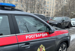 Росгвардейцы задержали девушку, которая пыталась обокрасть дом в Павловске