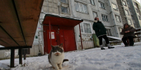 В Ленобласти 20 января прогнозируют снег, туман и гололедицу - Online47.Ru