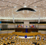 AFP: Европарламент приостановил ратификацию торгового соглашения с США после угроз Трампа - Online47.Ru