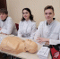 Профориентация “Круглый стол” – г.Выборг - Центр НПМР ЛО