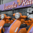 Скутеры, которые зарабатывают: история Lavanta Ride в Анталии - Деловая газета