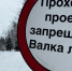 В Ленинградской области показали полный цикл восстановления леса - Online47.Ru