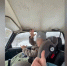 В Сосновом Бору отца, показавшего сынишке, что такое дрифт, наказали - 47 новостей