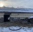 Под Волосово горит коровник - 47 новостей