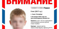 Соцсети надрываются спорами о фото убитого Паши из Петербурга  на ориентировках. Волонтеры точно знали, кого искали - 47 новостей