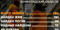 В "ЛизаАлерт" рассказали о поисках в январе. И напомнили, как обезопасить детей - 47 новостей