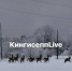 Резвых косуль заметили в Кингисеппском районе - 47Channel.Ru