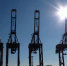 Reuters: Россия в феврале обновила максимум по морским поставкам нефти в Китай - Online47.Ru