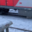 Двух подростков сняли с поезда за незаконную и опасную поездку между вагонами - ЛенОблИнформ