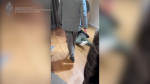 Лжесотрудники ФСБ вымогали у бизнесмена в Петербурге деньги